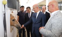 Türkiye'de İlk Kez “Uyarlanmış Binicilik Eğitmenliği Programı” NEVÜ Atçılık MYO Bünyesinde Hayata Geçirilecek