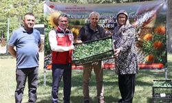 Nevşehir'de Üreticilere %75 Hibeli Karnabahar ve Brokoli Fidesi Dağıtıldı