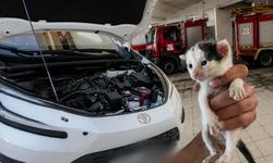 Nevşehir İtfaiyesi’nden Yavru Kedi Kurtarma Operasyonu