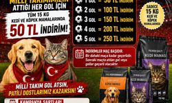 Nevşehir'de Gezginci Yem&Mama'dan Milli Takım Kampanyası: Her Gole 50 ₺ İndirim