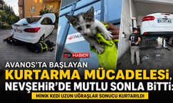 Avanos'ta Başlayan Kurtarma Mücadelesi, Nevşehir'de Mutlu Sonla Bitti: Minik Kedi Uzun Uğraşlar Sonucu Kurtarıldı