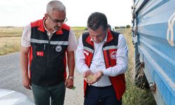 Gülşehir’de Arpa Hasadı Yerinde İncelendi