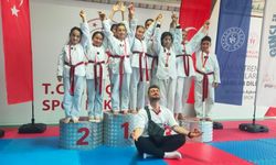 Nevşehirli Minik Taekwondoculardan Büyük Başarılar