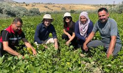 Nevşehir’de Kuru Fasulye Projelerinde Saha İncelemesi