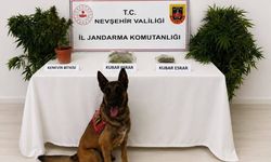 Nevşehir'de Narkotik Operasyonu: 248 Kök Kenevir ve 273 Gram Esrar Ele Geçirildi