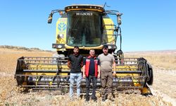 Nevşehir Türkiye’de 5. Sırada Aspir Hasadı Başladı