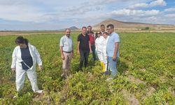 Nevşehir’de Patates Üretiminde Karantina Tedbirleri Değerlendirildi