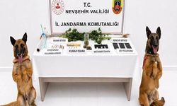 Nevşehir’de Jandarmadan Narkotik Operasyonu: 15 Şüpheli Hakkında İşlem Başlatıldı