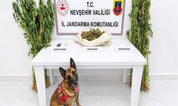 Nevşehir’de 11,7 Kilo Kubar Esrar ve Kenevir Ele Geçirildi
