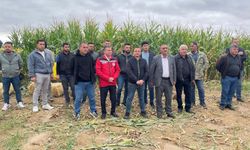 Nevşehir’de Silajlık Mısır Hasadı Gerçekleştirildi