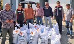 Gülşehir’de Üreticilere %100 Hibeli Macar Fiğ Tohumu Dağıtıldı