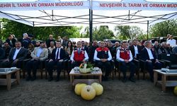 Vali Hüseyin Kök ve Bakan Yardımcısı Ebubekir Gizligider Kabak Çekirdeği Hasadına Katıldı