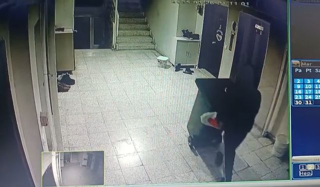 Nevşehir'de Çöp Yerine Ayakkabıları Topladı