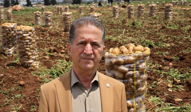 Hepsi Geri Gönderildi: Yurt Dışından Gelen 2 Bin Tondan Fazla Patates Virüslü Çıktı