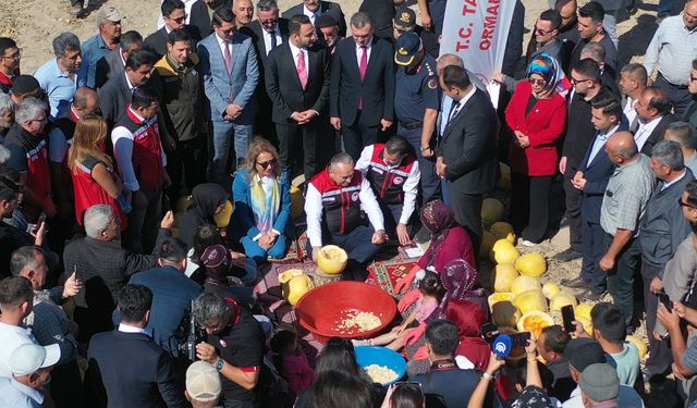Nevşehir’de Kabak Çekirdeği Hasadı Başladı