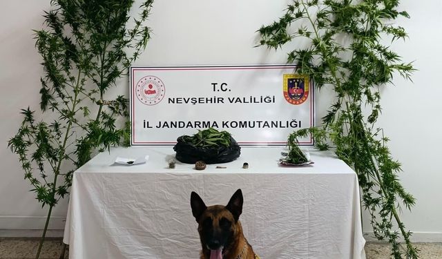 İbrahimpaşa'da Yapılan Aramada Skunk ve Kubar Esrar Ele Geçirildi