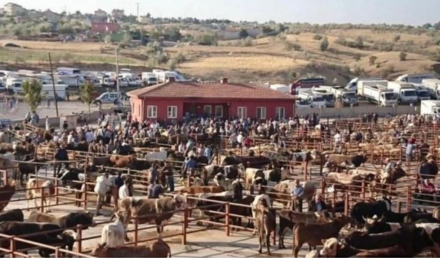 Nevşehir Hayvan Pazarı Açıldı