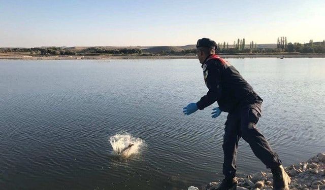 Balıklar Salındı, Ağlar Yakıldı
