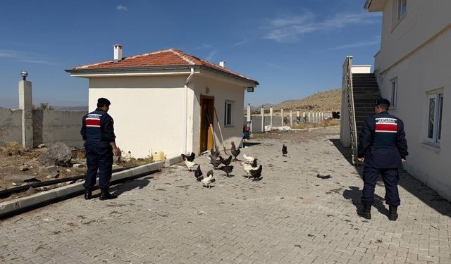 Ürgüp Başdere’de 32 Kümes Hayvanı Çalındı: 8 Bin TL Değerindeki Olay Aydınlatıldı