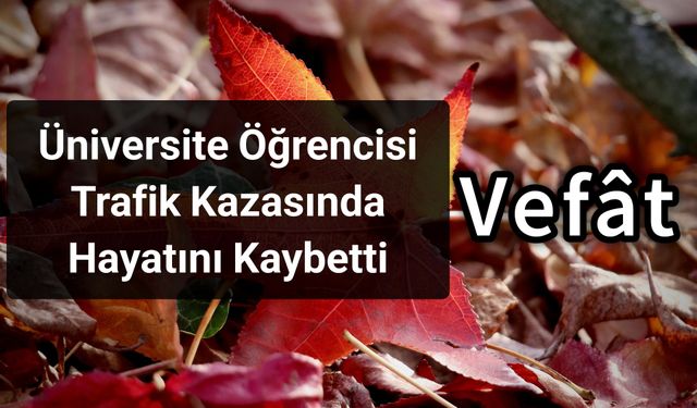 Üniversite Öğrencisi Trafik Kazasında Hayatını Kaybetti