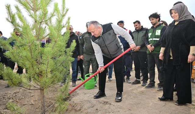 Nevşehir’de Milli Ağaçlandırma Günü’nde Binlerce Fidan Toprakla Buluştu