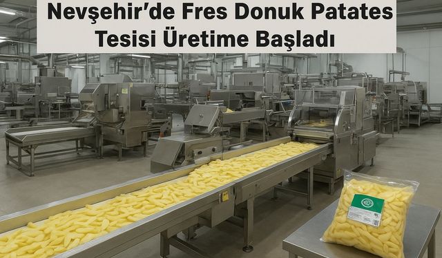 Nevşehirde Poy Pat Kapadokya Fresh Patates Tesisi Üretime Başladı