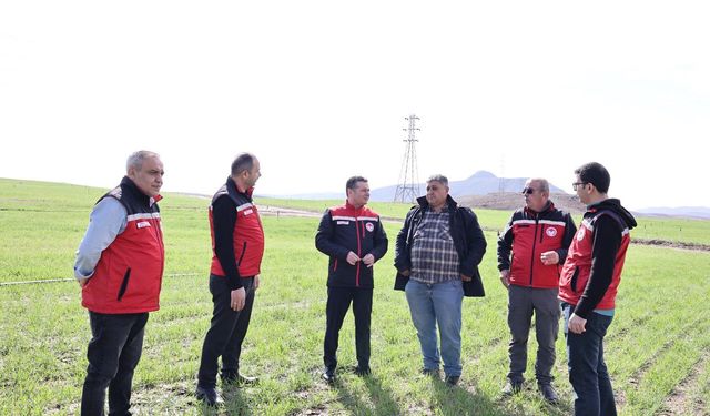 Nevşehir’de Bitkisel Üretimde Fenolojik Gözlemler Sürüyor