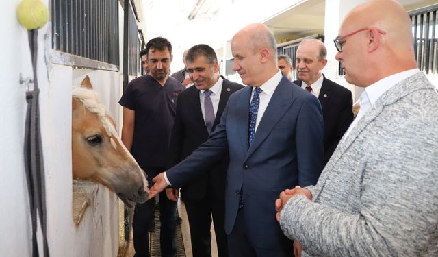 Türkiye'de İlk Kez “Uyarlanmış Binicilik Eğitmenliği Programı” NEVÜ Atçılık MYO Bünyesinde Hayata Geçirilecek