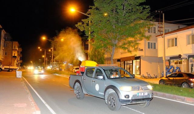 Gülşehir Belediyesi’nden Sivrisineğe Karşı Tam Kapsamlı Mücadele