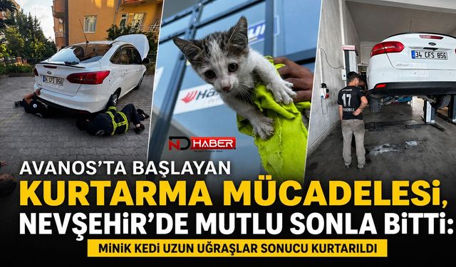 Avanos'ta Başlayan Kurtarma Mücadelesi, Nevşehir'de Mutlu Sonla Bitti: Minik Kedi Uzun Uğraşlar Sonucu Kurtarıldı