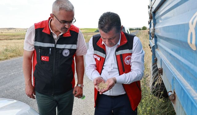 Gülşehir’de Arpa Hasadı Yerinde İncelendi
