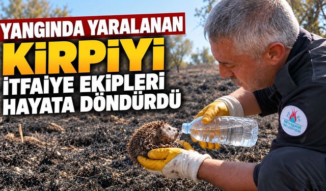 Yangında yaralanan kirpiyi itfaiye ekipleri hayata döndürdü