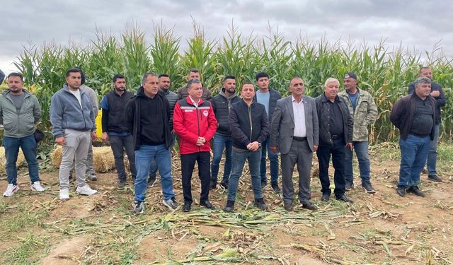 Nevşehir’de Silajlık Mısır Hasadı Gerçekleştirildi