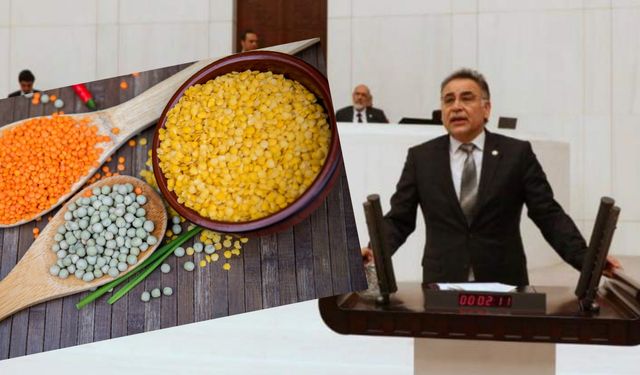 Milletvekili Menekşe'den Müjde!