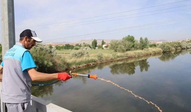 Kızılırmak'ta Simulliumla Mücadele Başladı
