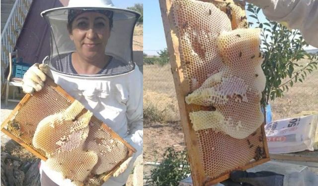 Gülşehir'de Arılar Peteğe Bal'dan Ayı Yaptı