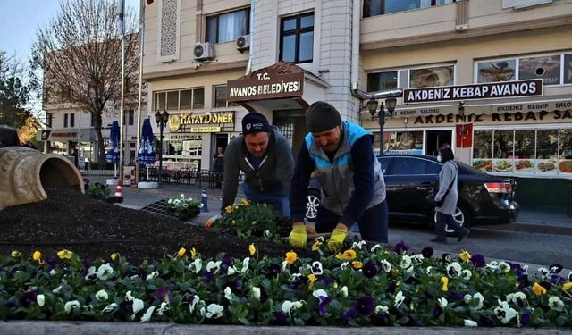 Avanos'ta Mevsimlik Çiçekler Toprakla Buluştu