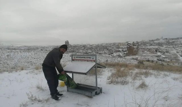 Ortahisar Belediyesi Soğuk Havalarda Sokak Hayvanlarını Unutmadı 