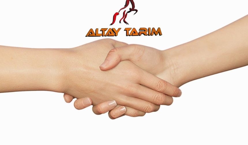 Altay Grup Bünyesinde Çalışacak Bayan Eleman Aranıyor