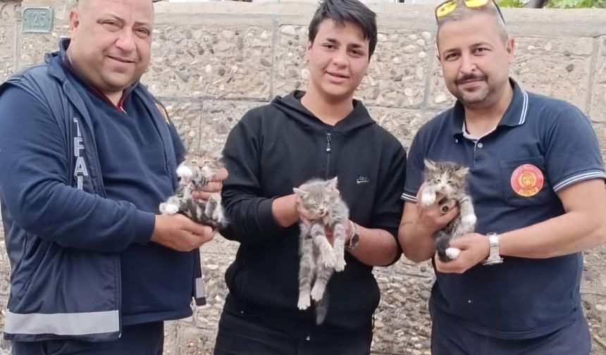 Avanos Belediyesi İtfaiye Ekipleri Yavru Kedileri Kurtardı