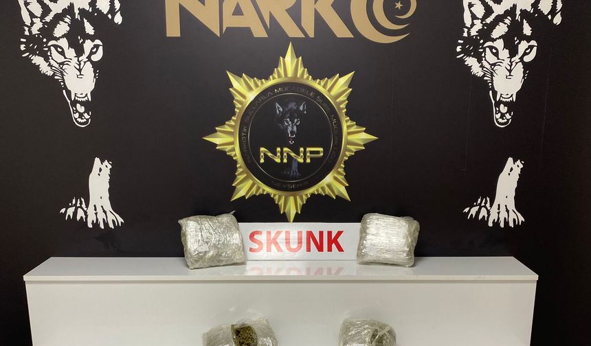 Nevşehir'deki Uyuşturucu Operasyonunda 2 Kg 173 Gr Skunk Ele Geçirildi