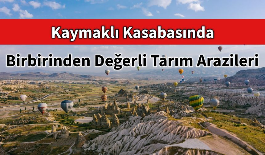 Kaymaklı'da Birbirinden Değerli Tarım Arazileri İhaleyle Satışa Sunuluyor