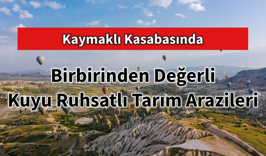 Kaymaklı Kasabasında Birbirinden Değerli Kuyu Ruhsatlı Tarım Arazileri