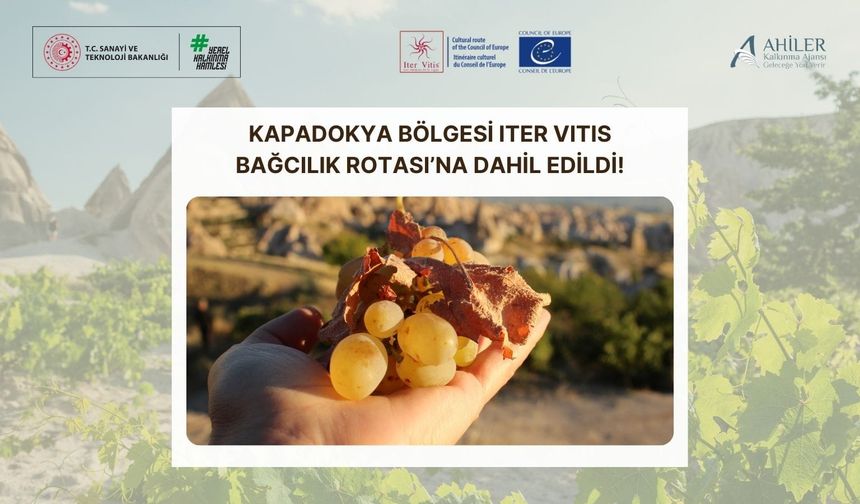 Kapadokya Bölgesi Iter Vitis Bağcılık Rotası’na Dâhil Edildi!