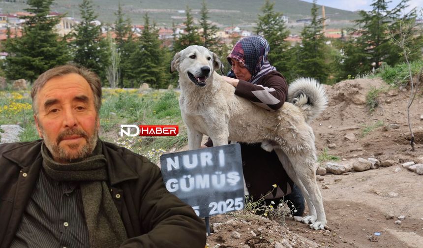 Nevşehir'de 6 Gün Önce Vefât Eden Nuri Gümüş'ün Köpeği Mezarından Ayrılmıyor