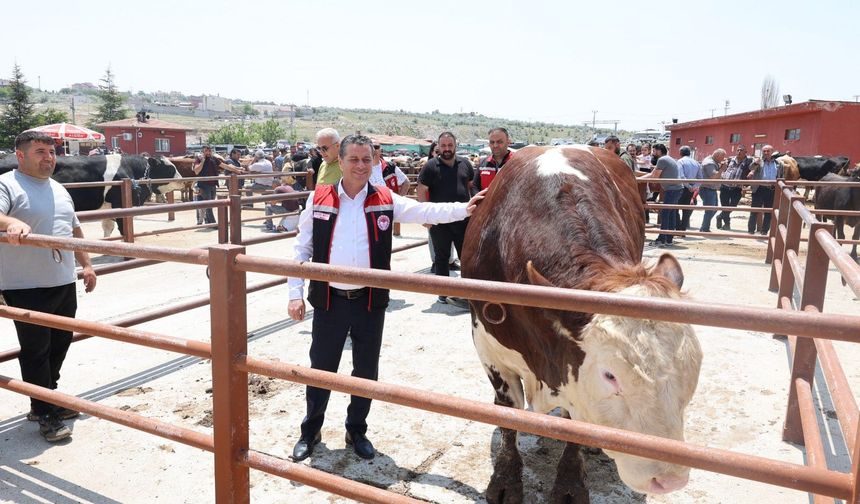 Nevşehir Hayvan Pazarında Arefe Günü’de Denetimler Devam Ediyor