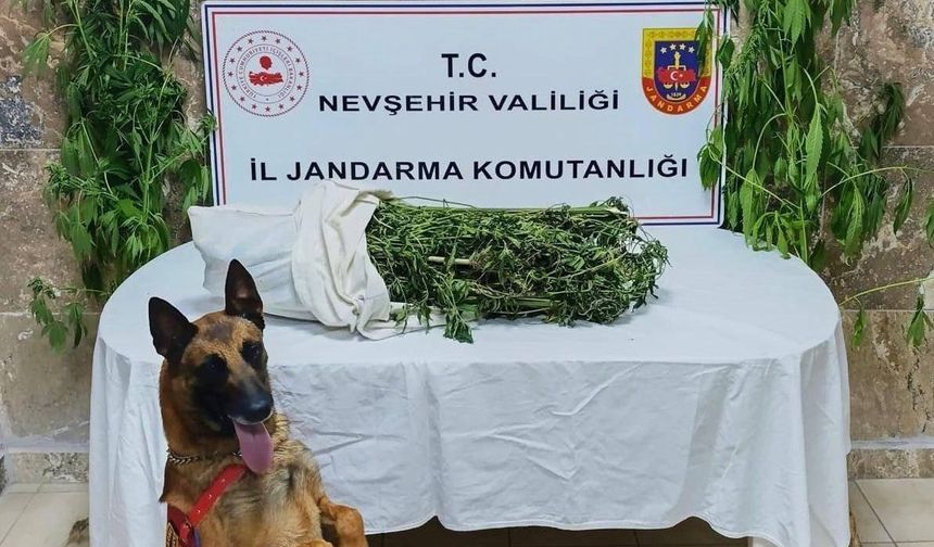 Ürgüp’te 4 Kilo Esrar ve Kenevir Ele Geçirildi: 1 Kişi Tutuklandı