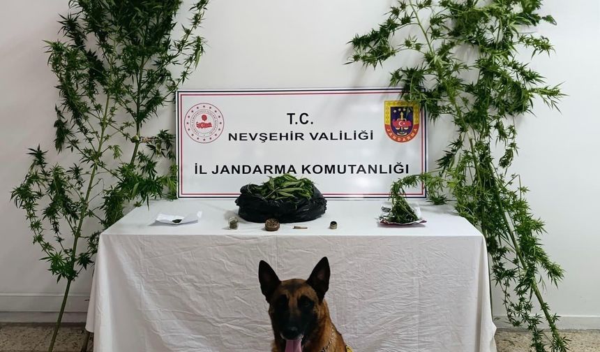 İbrahimpaşa'da Yapılan Aramada Skunk ve Kubar Esrar Ele Geçirildi