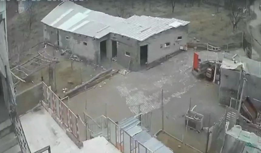 Nevşehir’de Fırtına Ağıl ve Mandırayı Vurdu: 12 Koyun Telef Oldu