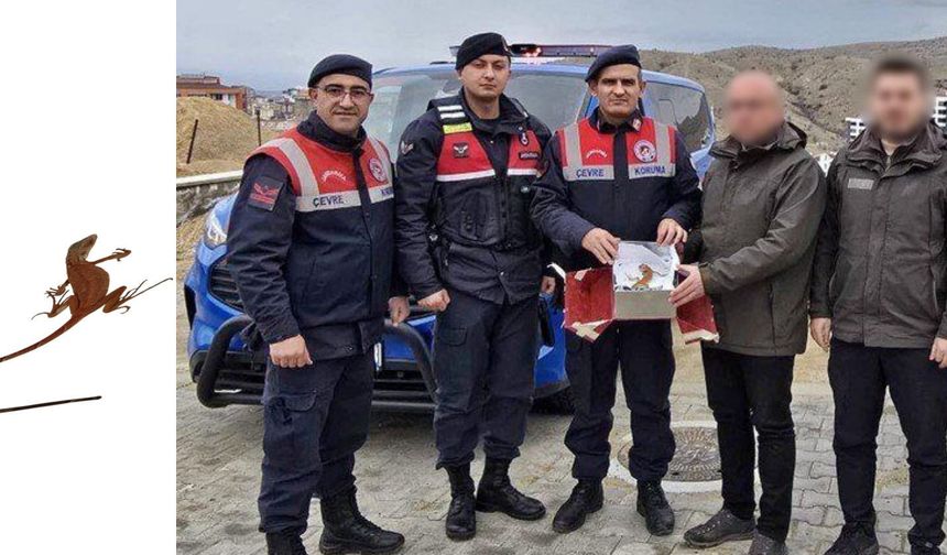 Nevşehir’de Elsalvador Menşei İguana Bulunduran Şahsa Ceza